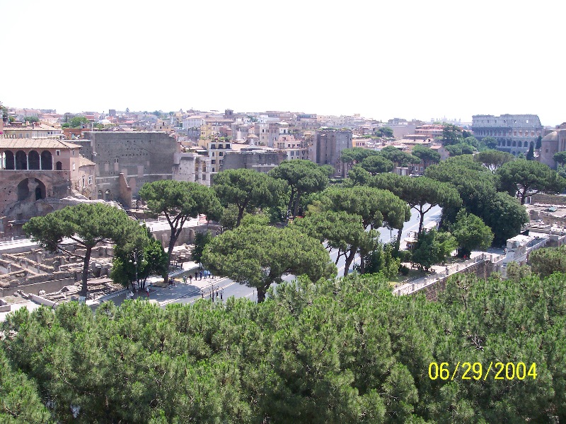 s-100_0705.jpg