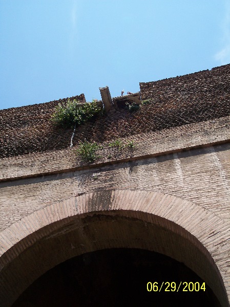s-100_0777.jpg