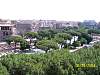 s100_0705.jpg