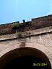 s100_0777.jpg