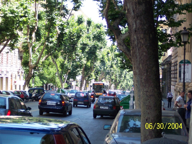 s-100_0995.jpg