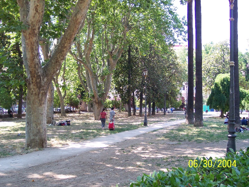 s-100_1000.jpg