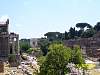 s100_0938.jpg