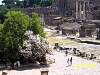 s100_0941.jpg