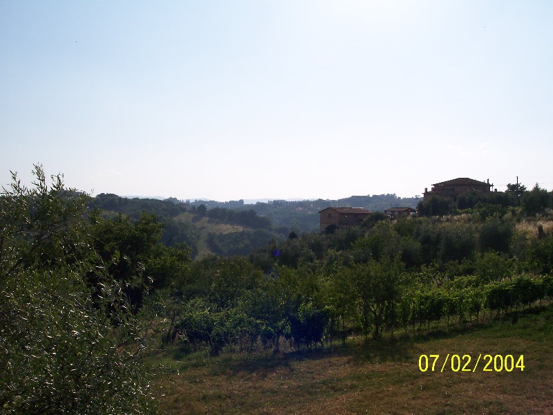 s-100_1038.jpg