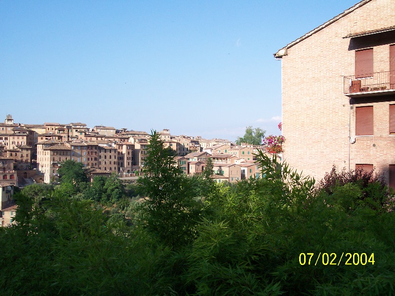 s-100_1051.jpg