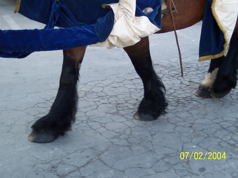 s-100_1058.jpg