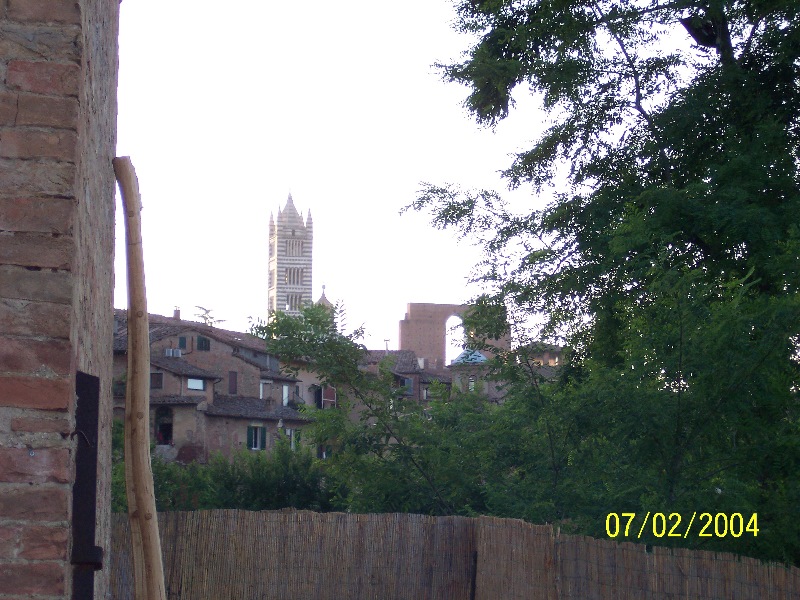s-100_1135.jpg