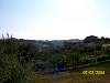 s100_1038.jpg