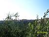 s100_1042.jpg
