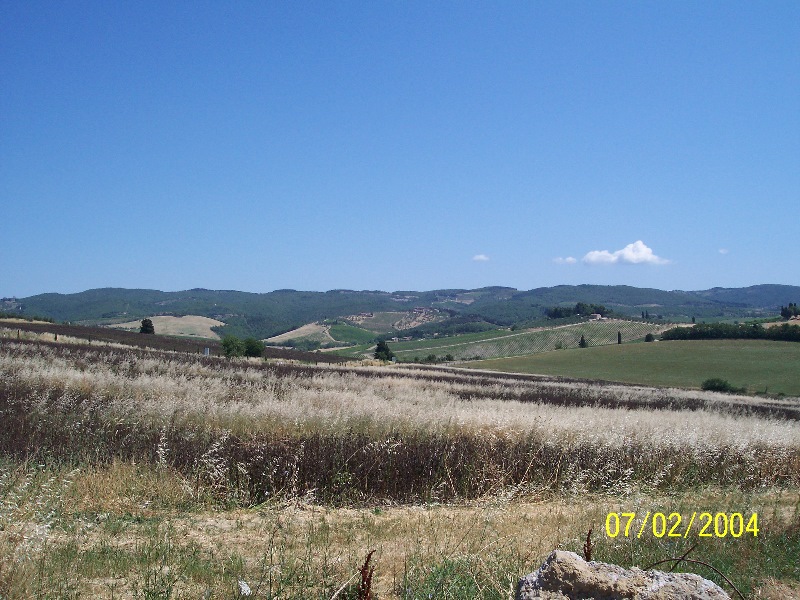 s-100_1137.jpg