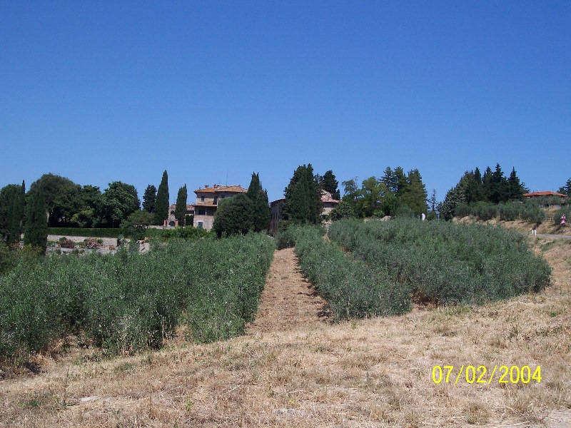 s-100_1142.jpg