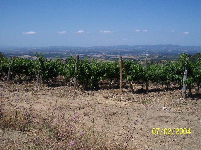 s-100_1146.jpg