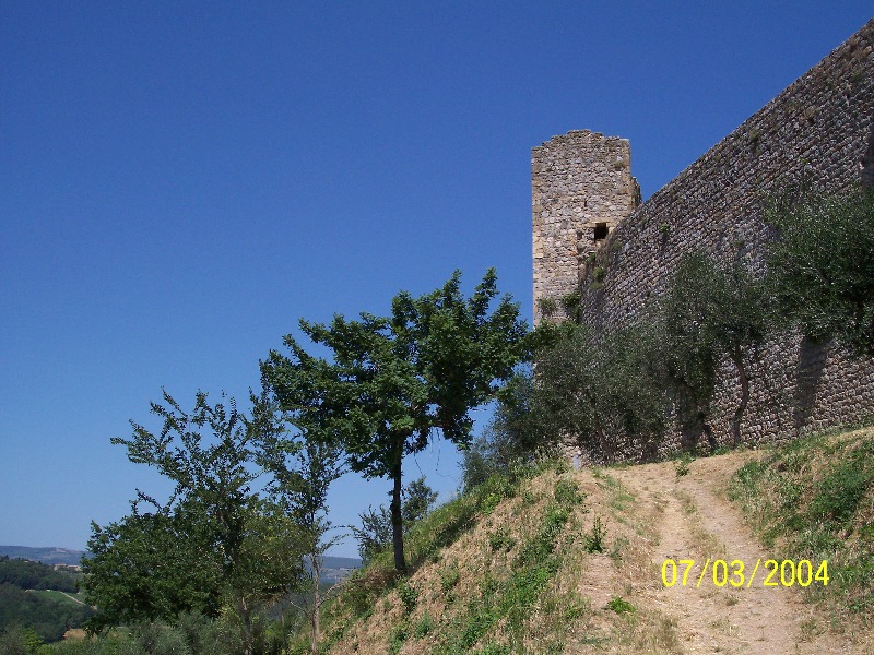 s-100_1178.jpg