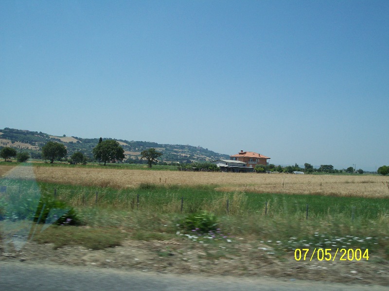 s-100_1318.jpg