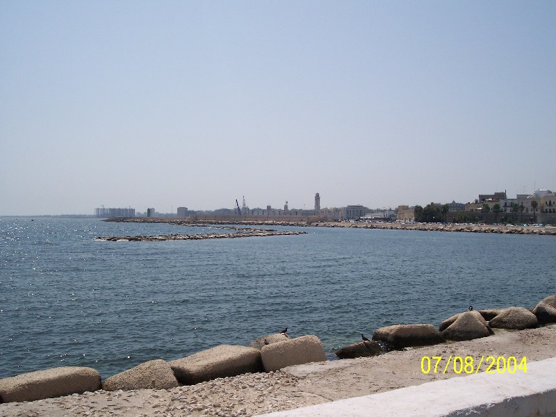 s-100_1366.jpg