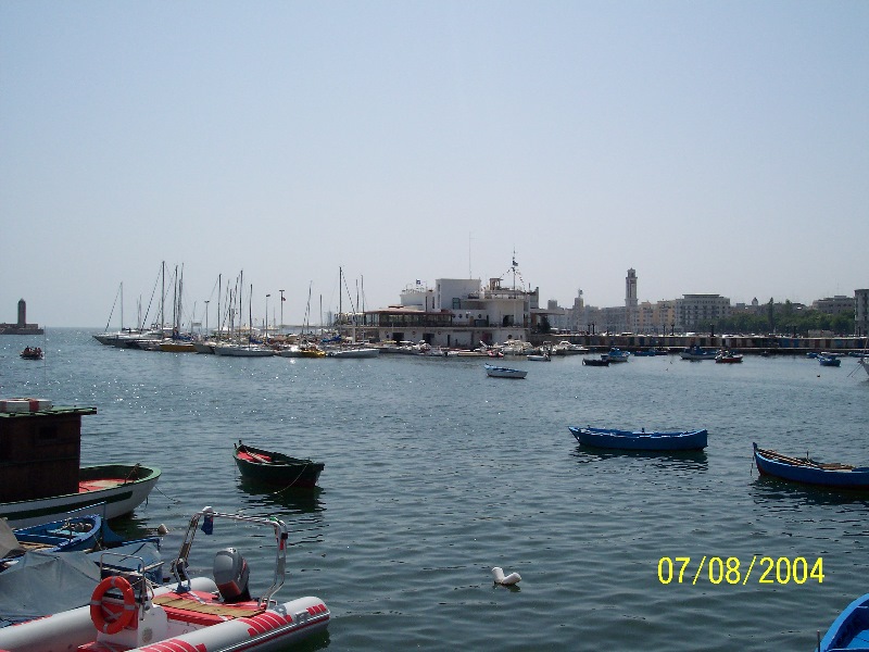 s-100_1372.jpg