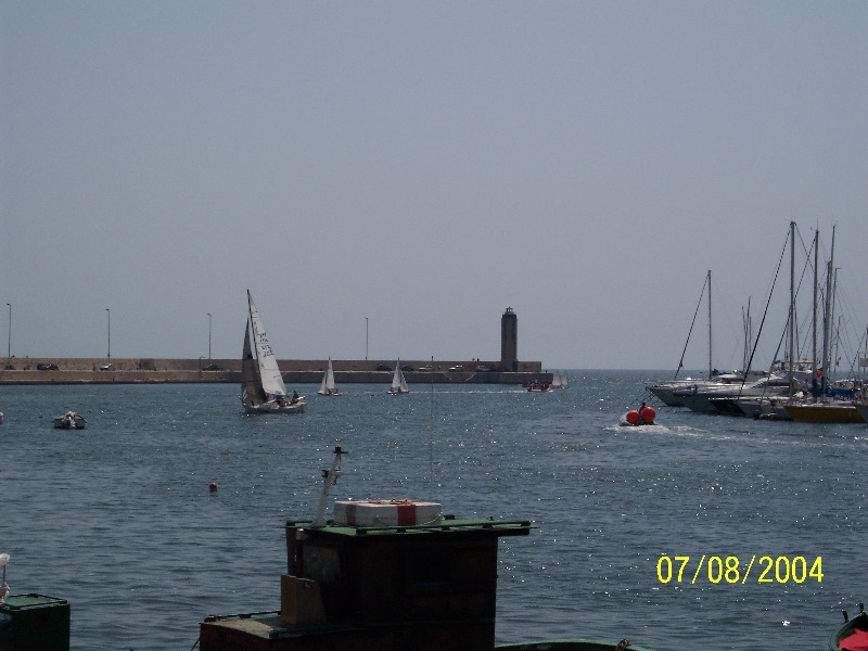 s-100_1382.jpg