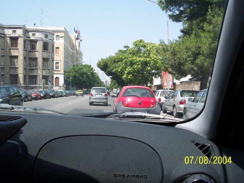 s-100_1394.jpg