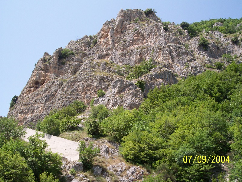 s-100_1432.jpg