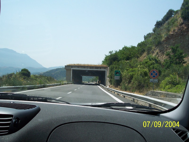 s-100_1437.jpg