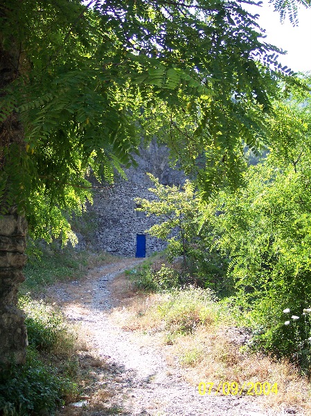 s-100_1477.jpg