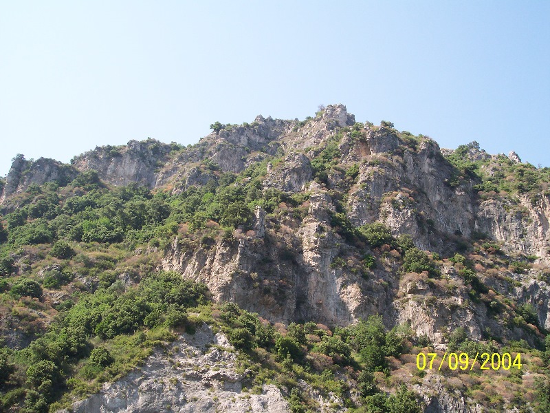 s-100_1481.jpg