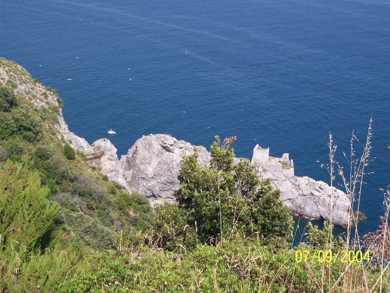 s-100_1488.jpg