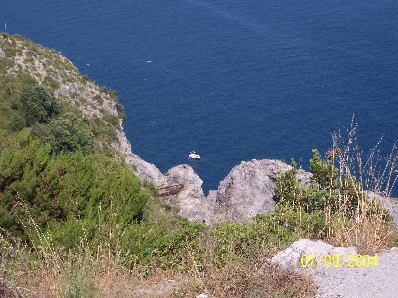 s-100_1498.jpg