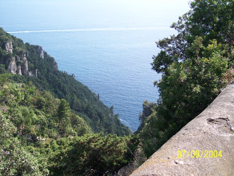 s-100_1504.jpg