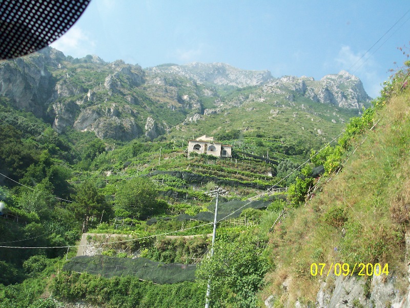 s-100_1509.jpg