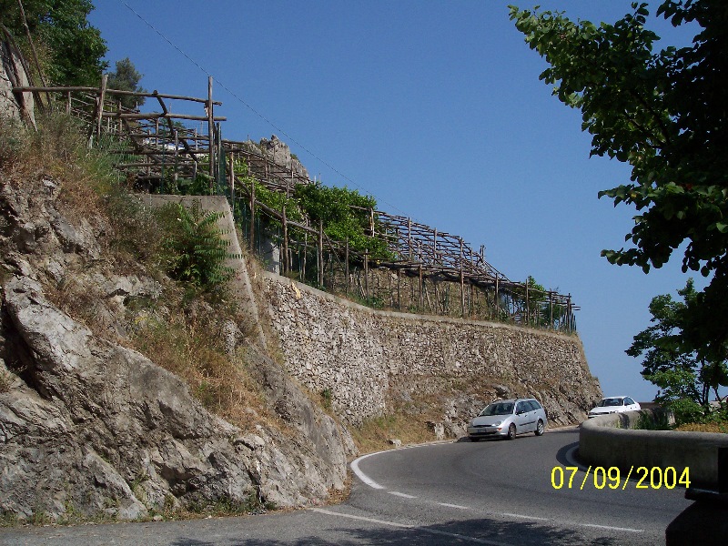 s-100_1512.jpg