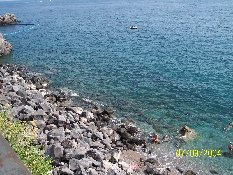 s-100_1535.jpg