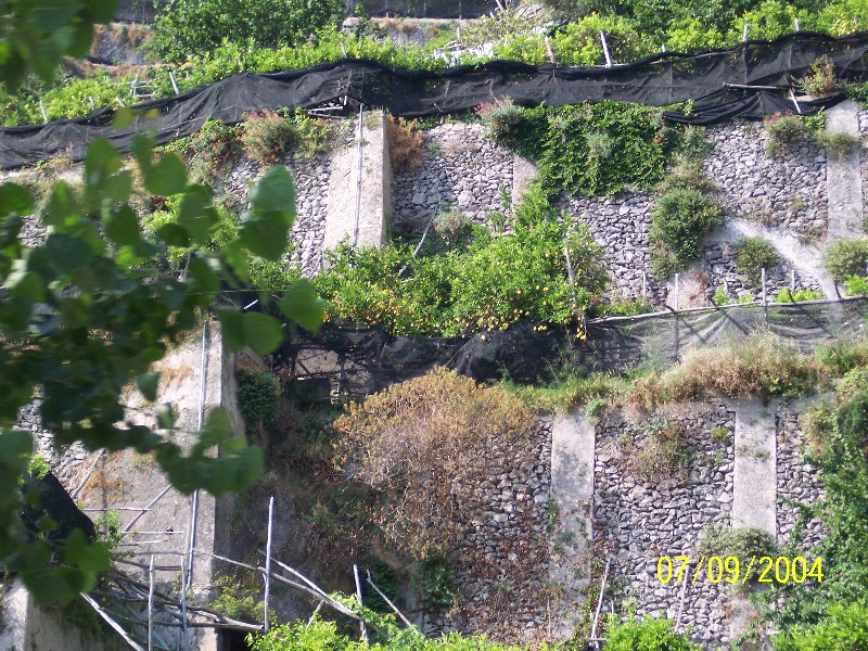 s-100_1538.jpg