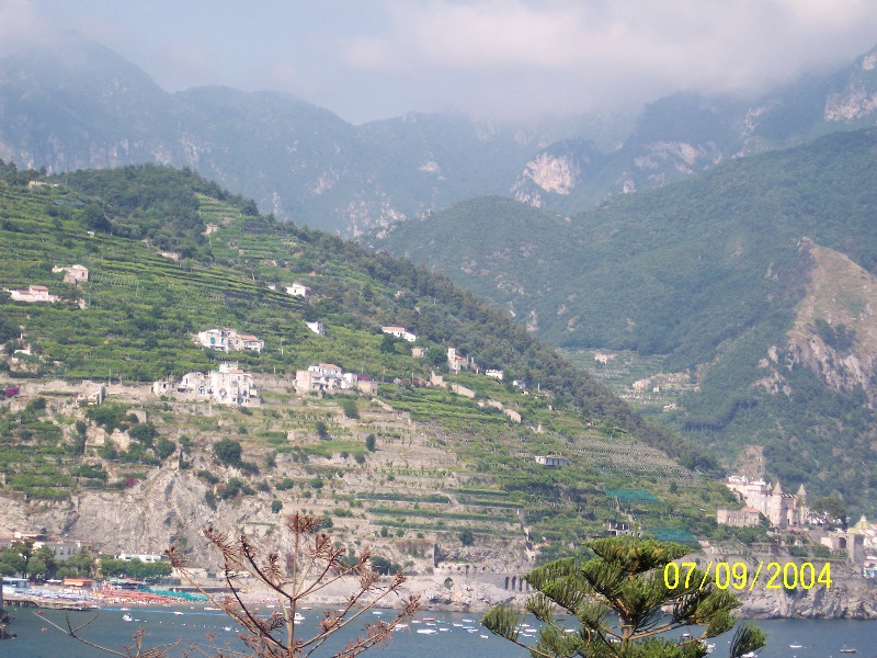 s-100_1555.jpg