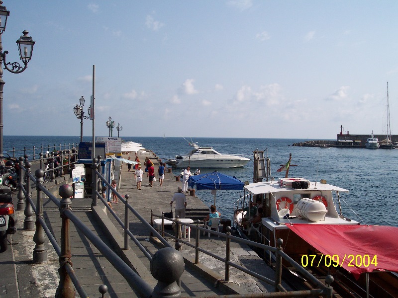 s-100_1563.jpg