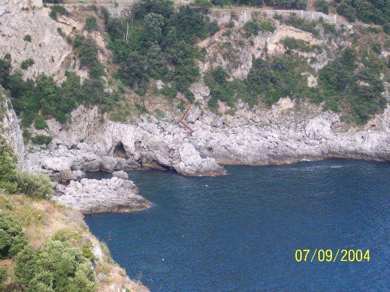 s-100_1592.jpg