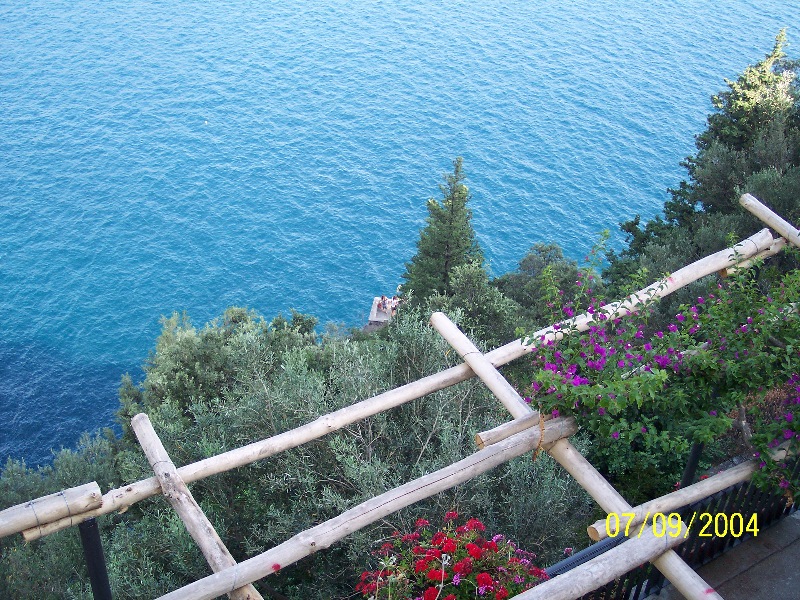 s-100_1603.jpg
