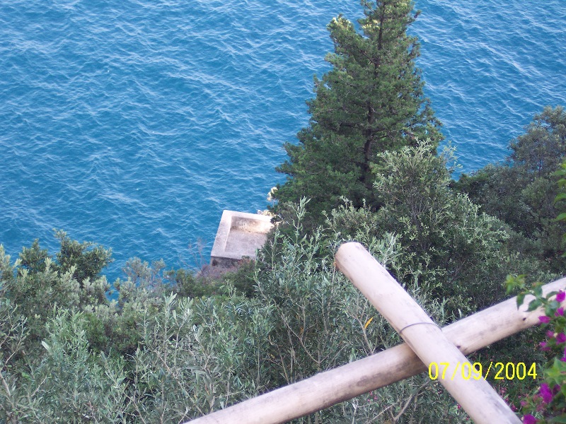 s-100_1604.jpg