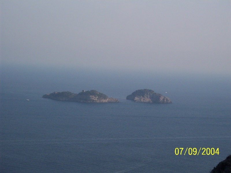 s-100_1617.jpg