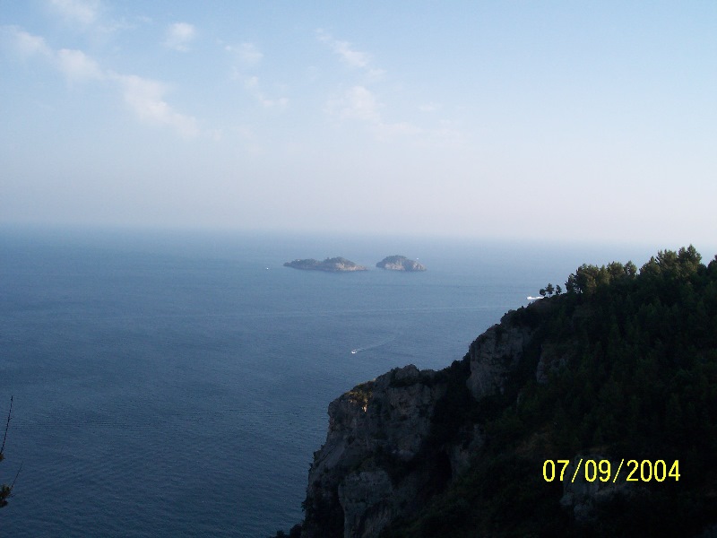 s-100_1618.jpg