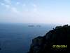 s100_1618.jpg