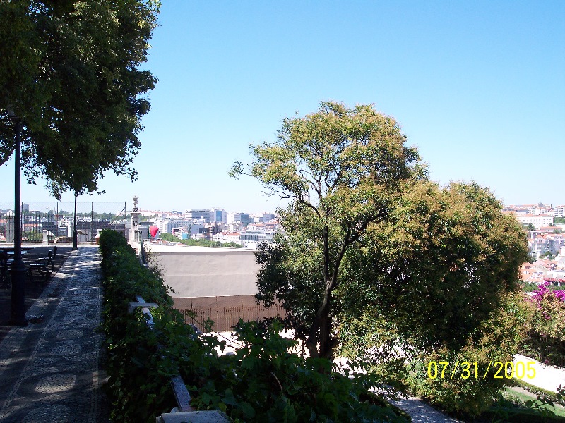 s-100_2504.jpg
