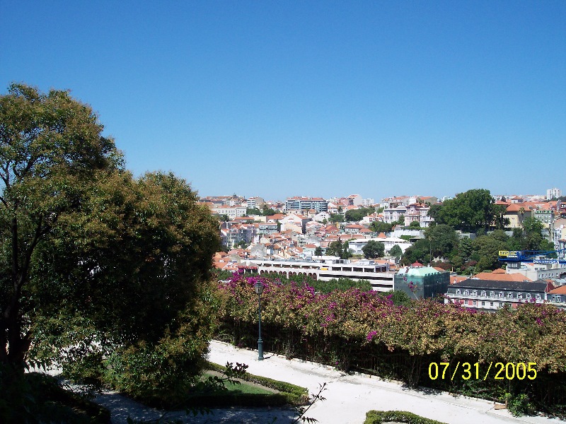 s-100_2505.jpg