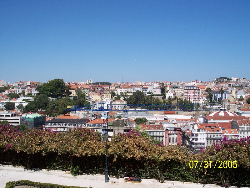 s-100_2506.jpg