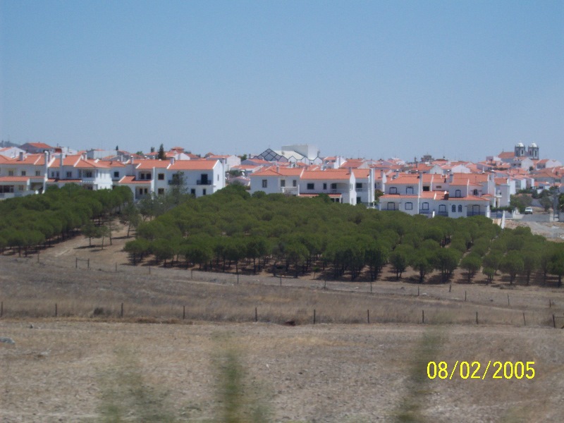 s-100_2764.jpg
