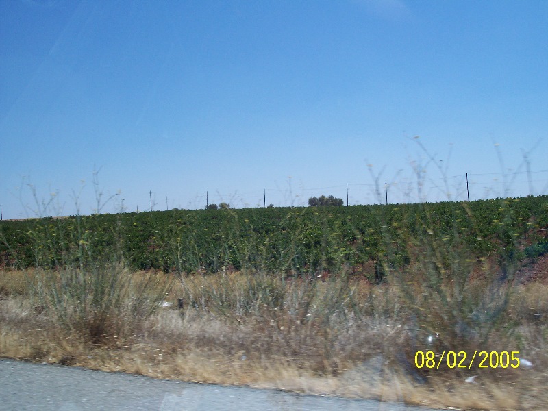 s-100_2767.jpg