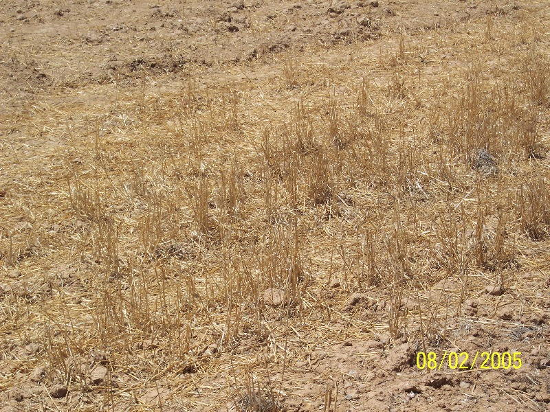 s-100_2772.jpg