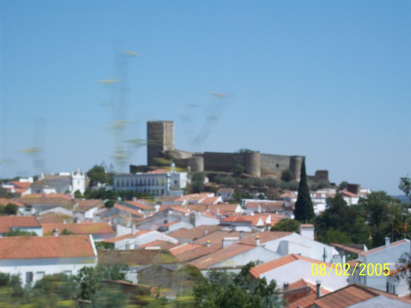 s-100_2778.jpg