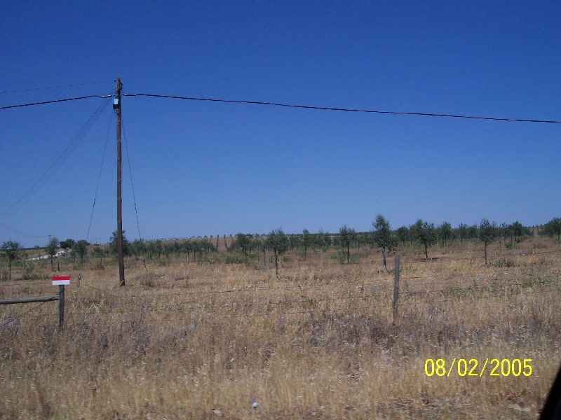 s-100_2781.jpg